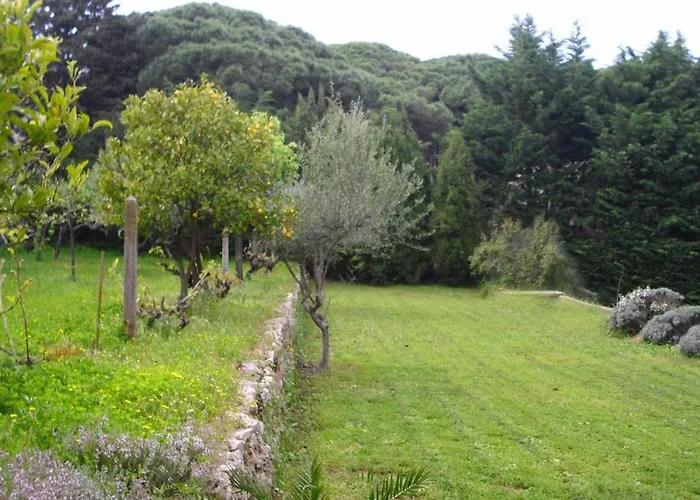 L'abri Cotier Ferienhaus *